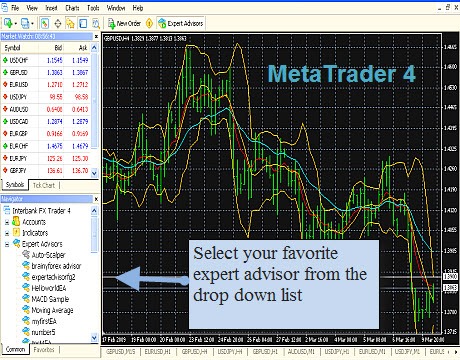 opzioni binarie forex metatrader